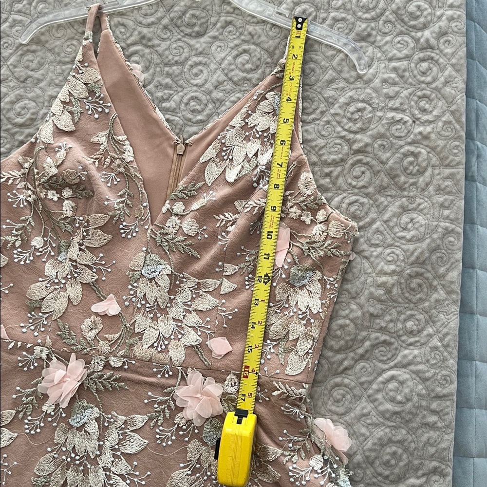 Dress the Population Blush Floral Embroidered Tulle Long Dress - Picture 11 of 16
